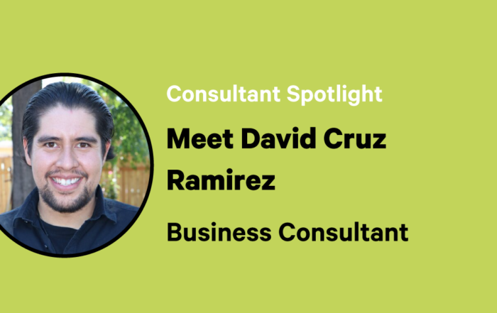 David Cruz Ramirez, business consultant