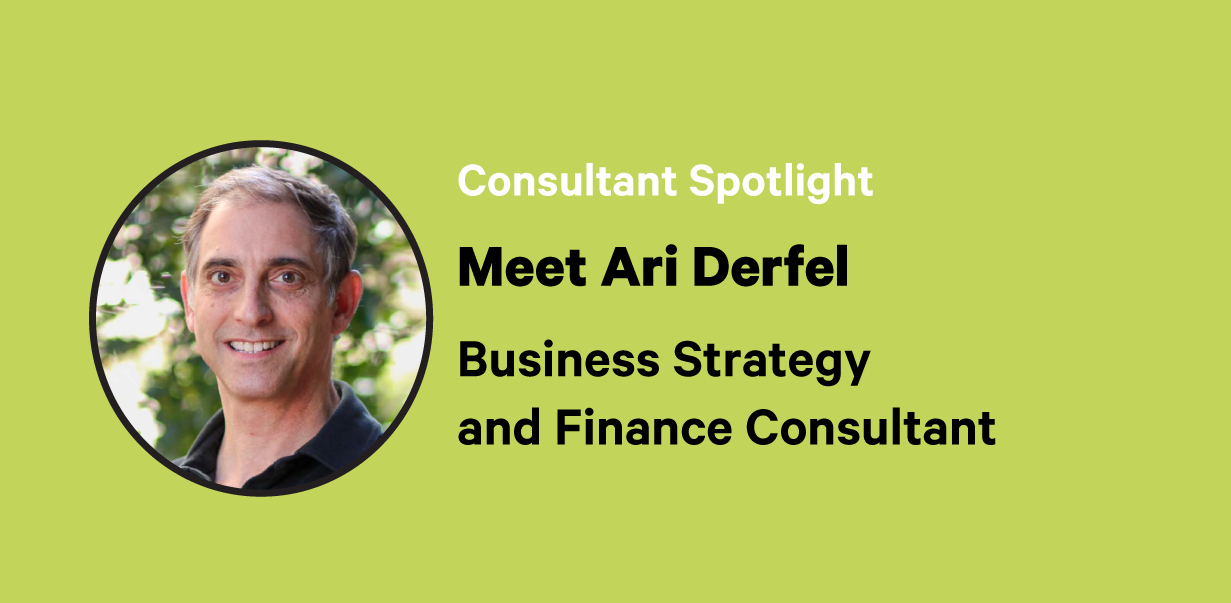 Ari Derfel, Business Strategy and Finance Consultant