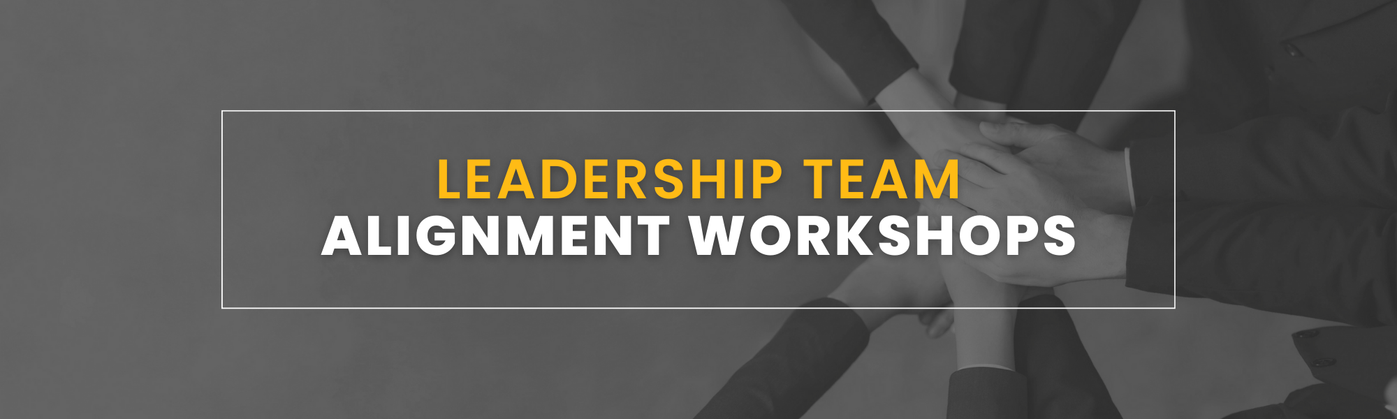 Leadership Team Alignment Workshops